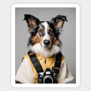 Bad AI photographer dog | Border Collie Sticker